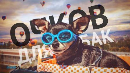 Doggles для doggies. Собачьи очки Doggles для doggies. Собачьи очки